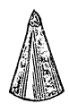 Confectioner's Tube