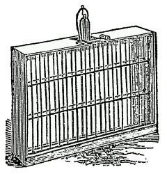 Double Broiler, with Back