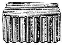 Rice Mould