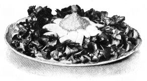 Marguerite Salad