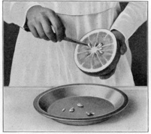 remove the seeds